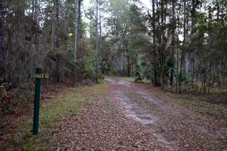 Hiking Gores Landing Unit Wildlife Management Area Bryan Berg