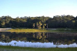 Indian Lake near Ocala, Florida is a large, aquifer-fed sinkhole