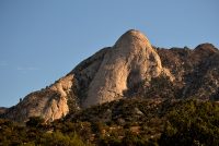 Organ Mountain Peak from Pine Tree Trail Loop