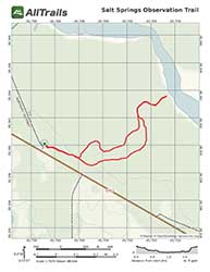 Trail Map for Salt Springs Observation Trail