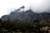 Fog on the Organ Mountains