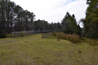 Land bridge over I95 leading to Florida Agricultural Museum at Pellicer Creek Conservation Area