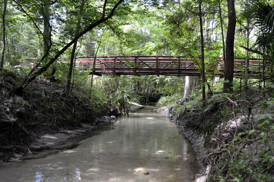 Walking bridge at Sweetwater Preserve near Gainesville, Florida